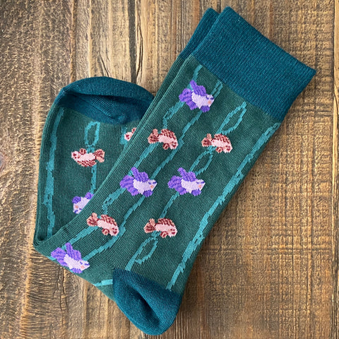 Socks - Fish