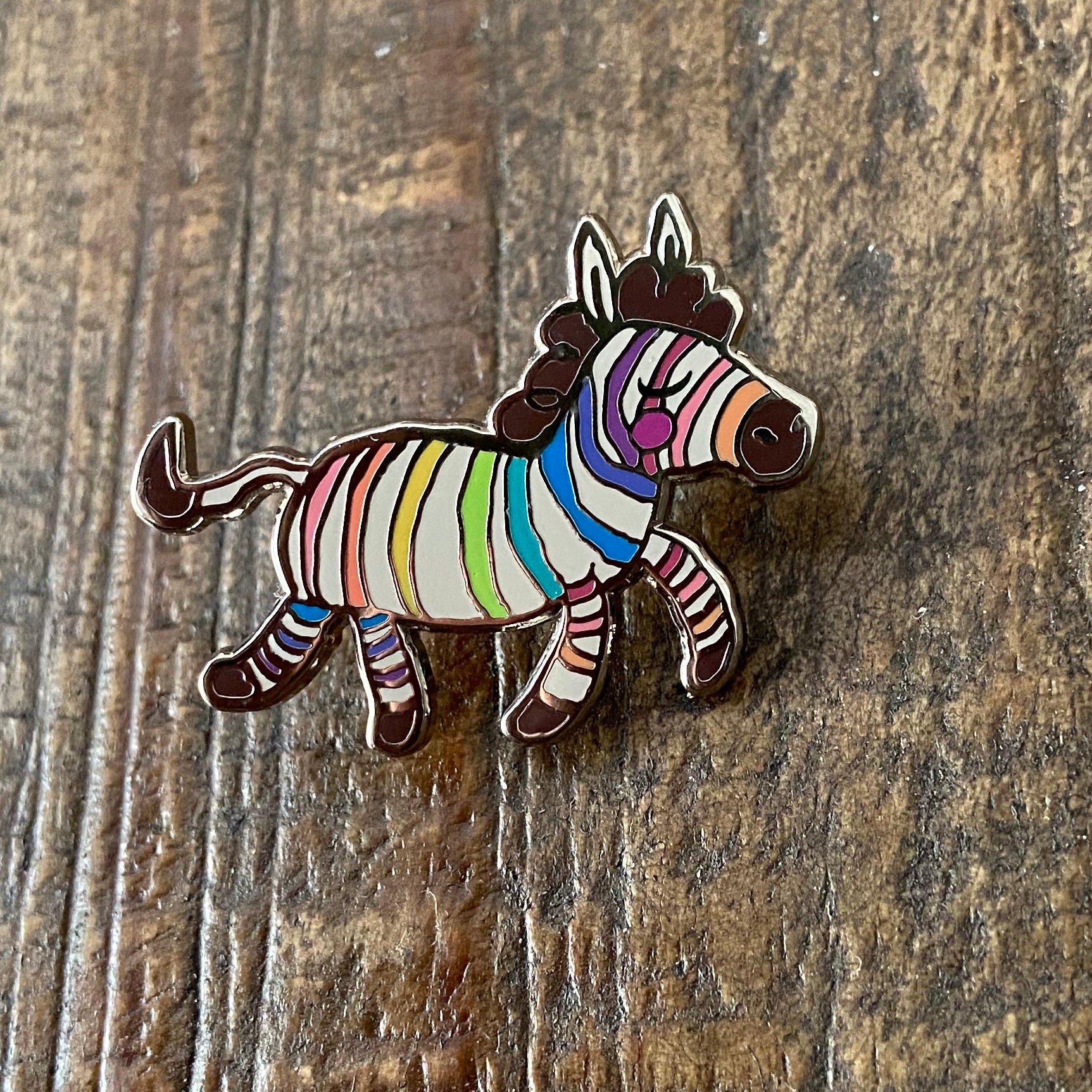 Rainbow Zebra Pin
